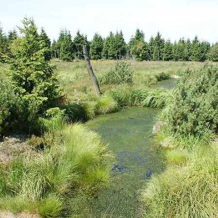 Σπίτι διακοπών Schelle *