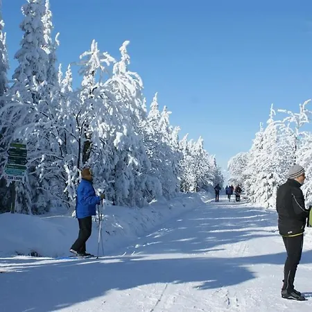 Schelle Altenberg (Erzgebirge)
