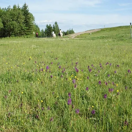 Holiday home Schelle Altenberg