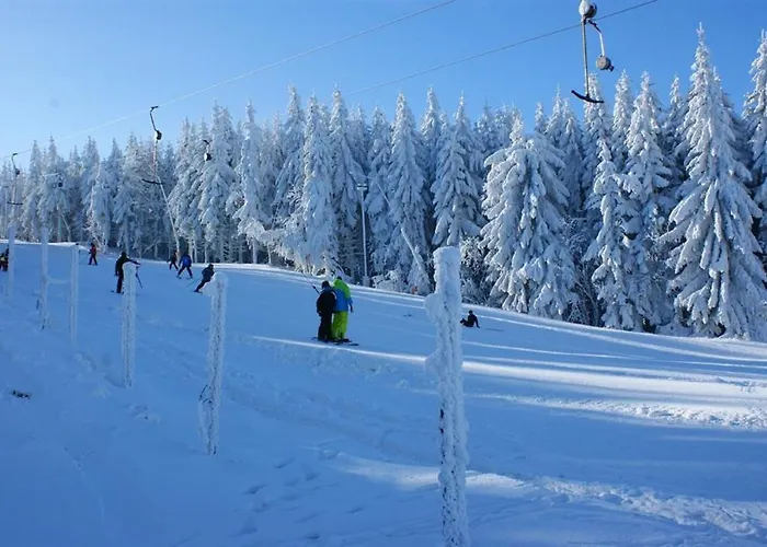 Дом отдыха Schelle *