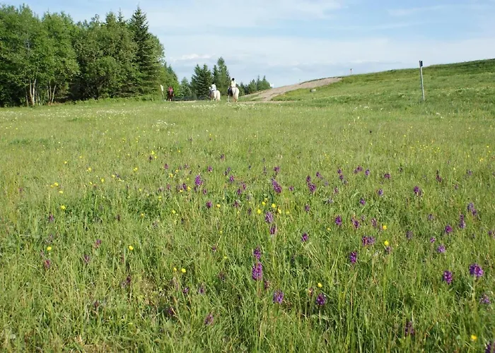 Дом отдыха Schelle Альтенберг